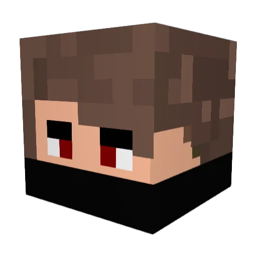 PAMPERS0 Minecraft avatar head, 3D render