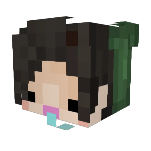 PANDITA96 Minecraft avatar head, 3D render