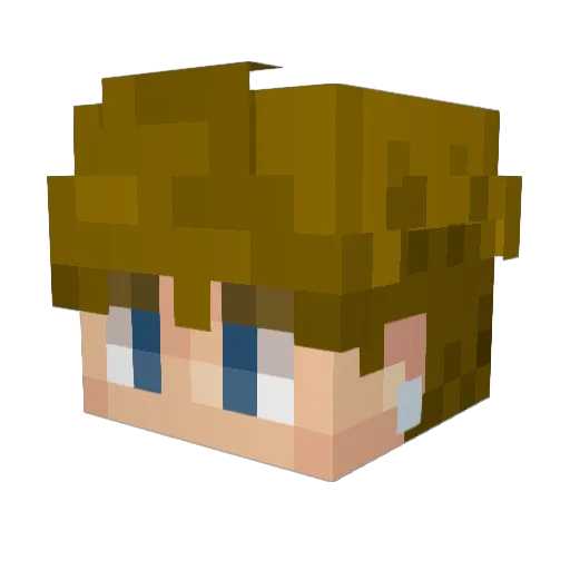 PANDe_ Minecraft avatar head, 3D render