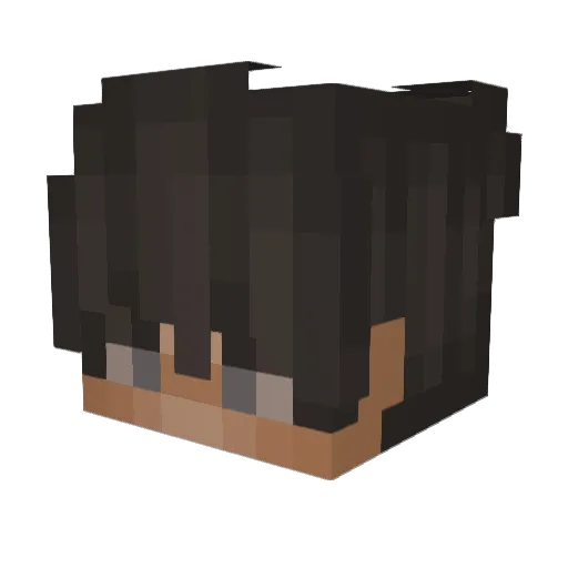 PANK0_ Minecraft avatar head, 3D render