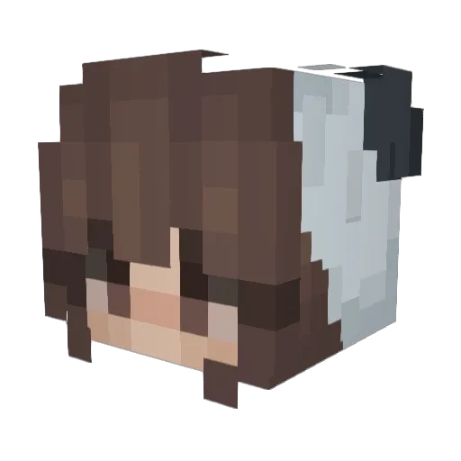 PANNNDDAA Minecraft avatar head, 3D render