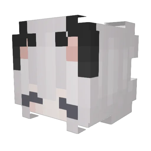 PANTHER00000 Minecraft avatar head, 3D render