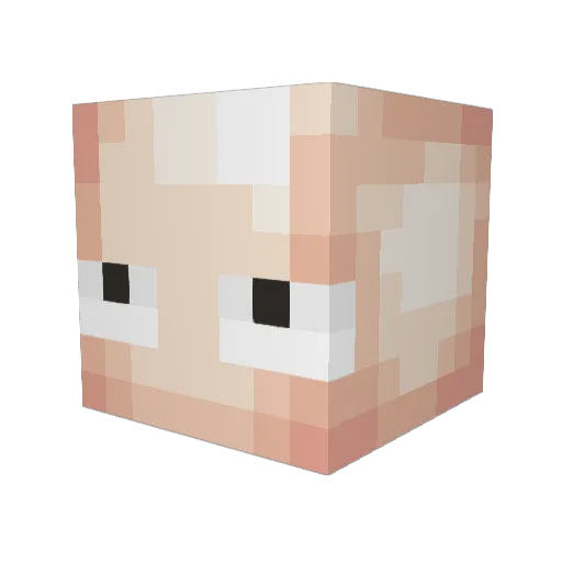 PAN_TACTICO Minecraft avatar head, 3D render
