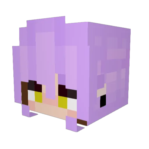 PAO12306 Minecraft avatar head, 3D render
