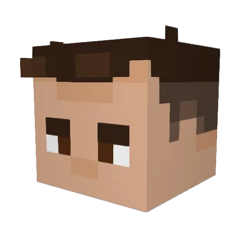 PAPASOTE123 Minecraft avatar head, 3D render