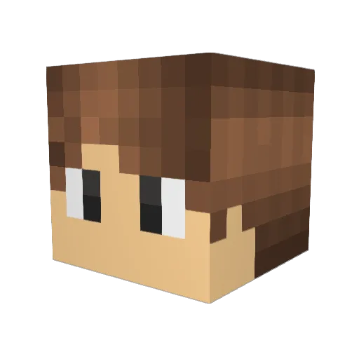 PARABOLICA Minecraft avatar head, 3D render
