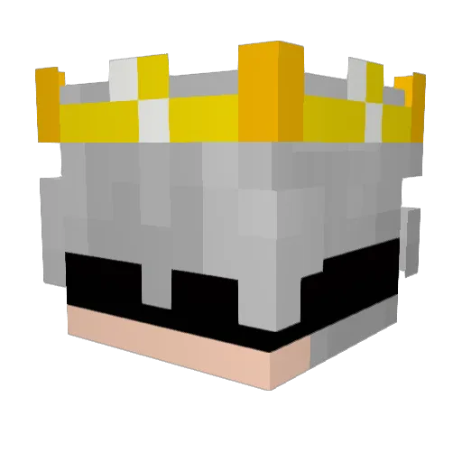 PARALY1 Minecraft avatar head, 3D render