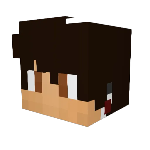 PARISMASTER Minecraft avatar head, 3D render