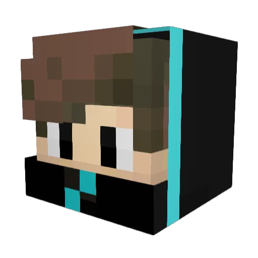 PARK_SHO Minecraft avatar head, 3D render