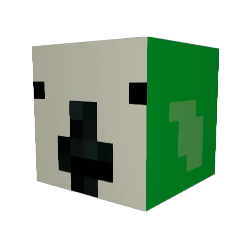 PARROTMASTER22 Minecraft avatar head, 3D render