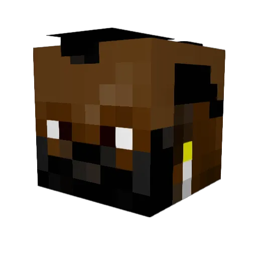 PARROTT19 Minecraft avatar head, 3D render