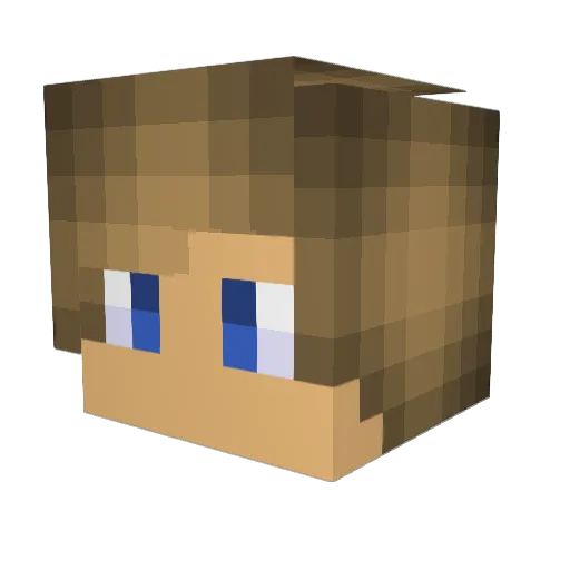 PASA228 Minecraft avatar head, 3D render