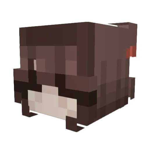 PASLEA Minecraft avatar head, 3D render