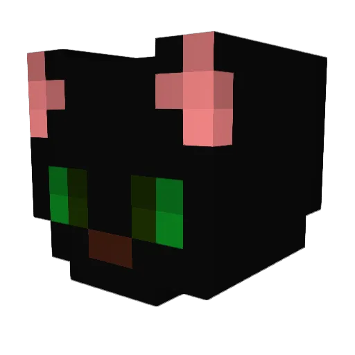 PASO_4BES Minecraft avatar head, 3D render