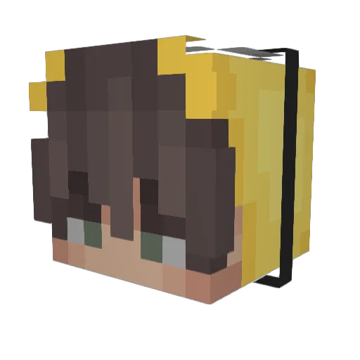 PASUHIN Minecraft avatar head, 3D render