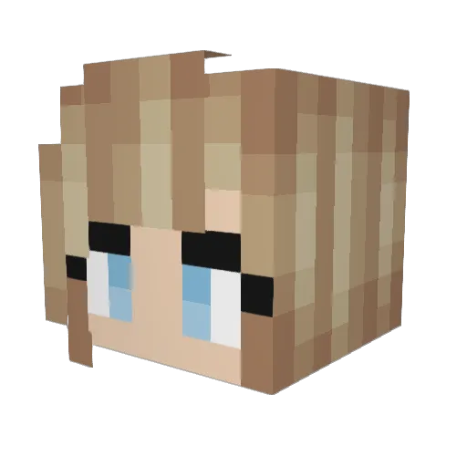 PATDGrace Minecraft avatar head, 3D render