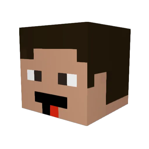 PATDOL9 Minecraft avatar head, 3D render