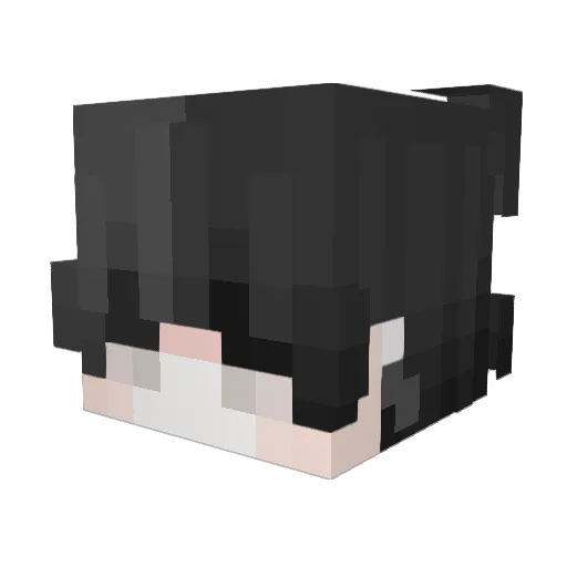 PATD_Trash Minecraft avatar head, 3D render