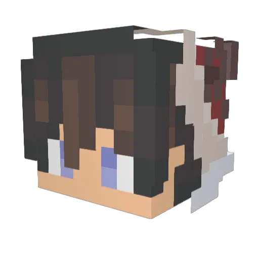 PATITOAYK Minecraft avatar head, 3D render