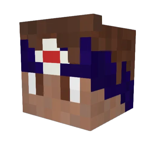 PATRICK15MAHOMES Minecraft avatar head, 3D render