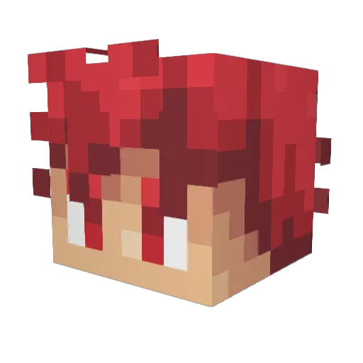 PATRICKLUKE Minecraft avatar head, 3D render