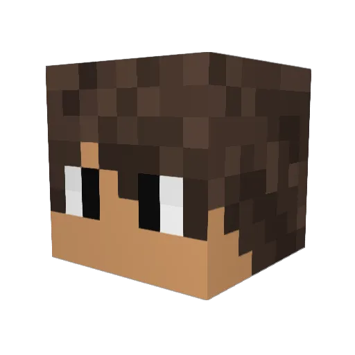 PATRICK_PMK Minecraft avatar head, 3D render
