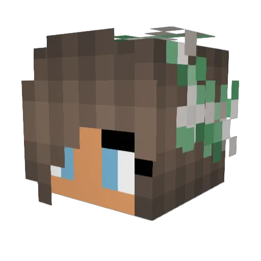 PATinYOU Minecraft avatar head, 3D render