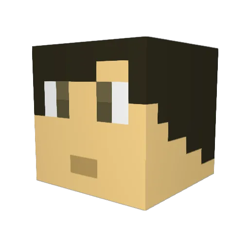 PAULMATHI Minecraft avatar head, 3D render