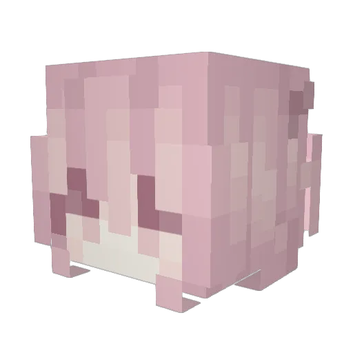 PAVEO Minecraft avatar head, 3D render