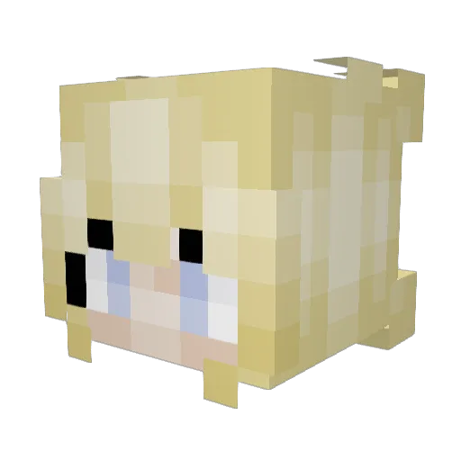 PAWLAES Minecraft avatar head, 3D render