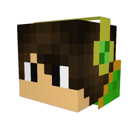 PAX1020 Minecraft avatar head, 3D render