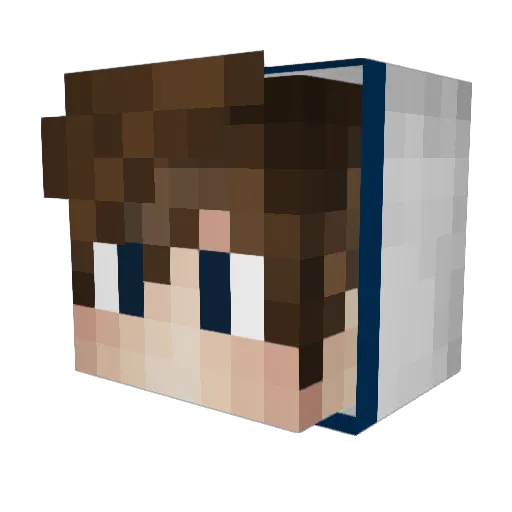 PAYSI__ Minecraft avatar head, 3D render