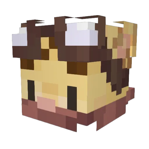 PA_xci Minecraft avatar head, 3D render