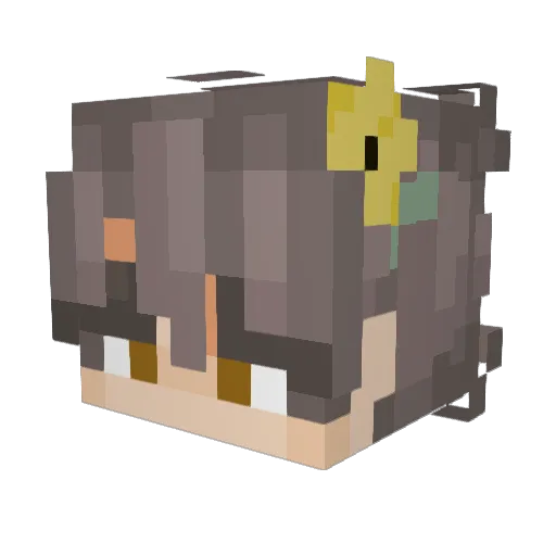 PBNRMeg_ Minecraft avatar head, 3D render