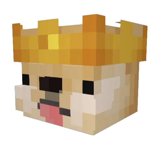 PBarsi Minecraft avatar head, 3D render