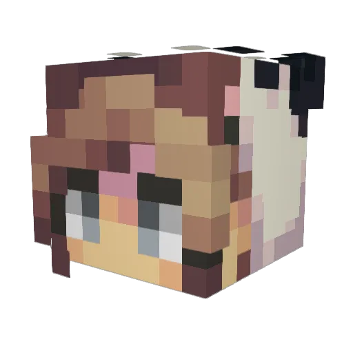 PBnJSandwich Minecraft avatar head, 3D render
