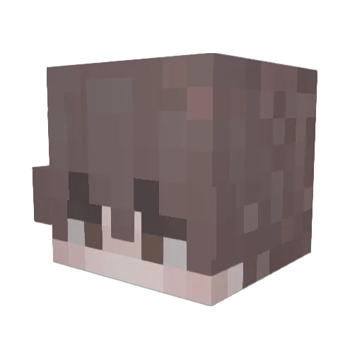 PCFizzy Minecraft avatar head, 3D render