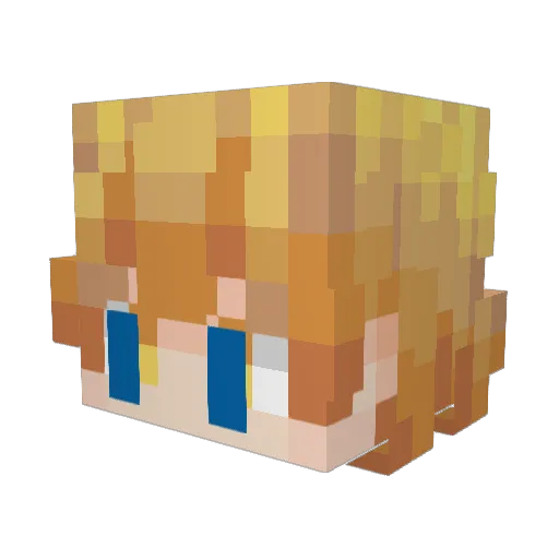 PCGamer445 Minecraft avatar head, 3D render