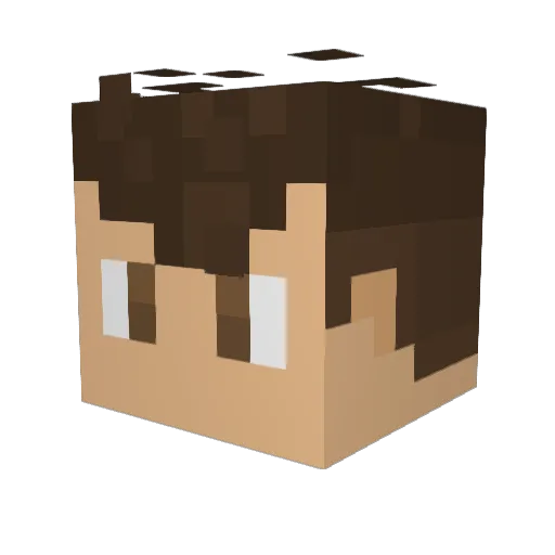 PCMDH Minecraft avatar head, 3D render