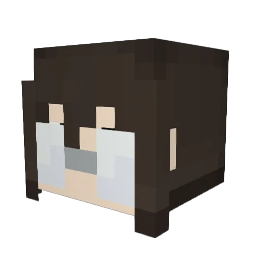 PCTTB Minecraft avatar head, 3D render