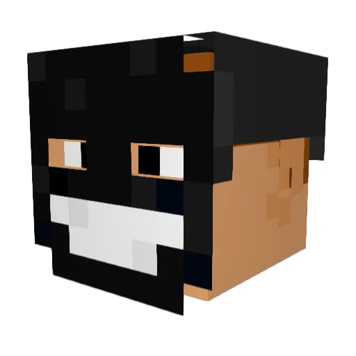 PDFM_EC Minecraft avatar head, 3D render