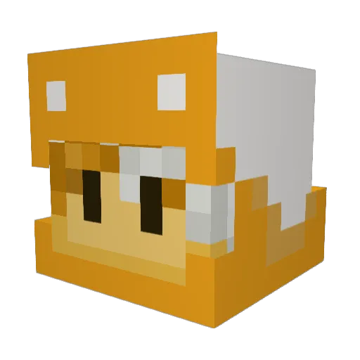 PDR_Jayce Minecraft avatar head, 3D render