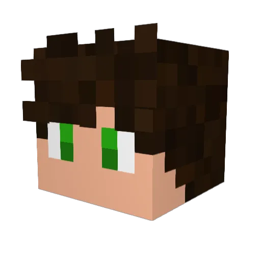 PDR___ Minecraft avatar head, 3D render
