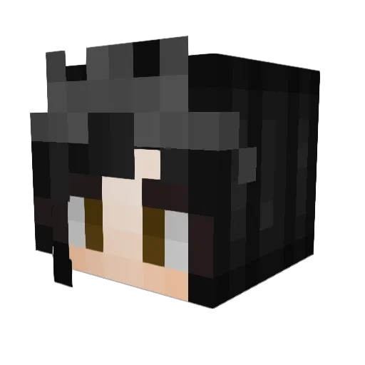 PDSnight Minecraft avatar head, 3D render