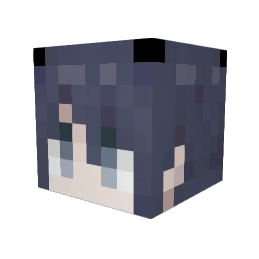 PDYBianRen Minecraft avatar head, 3D render