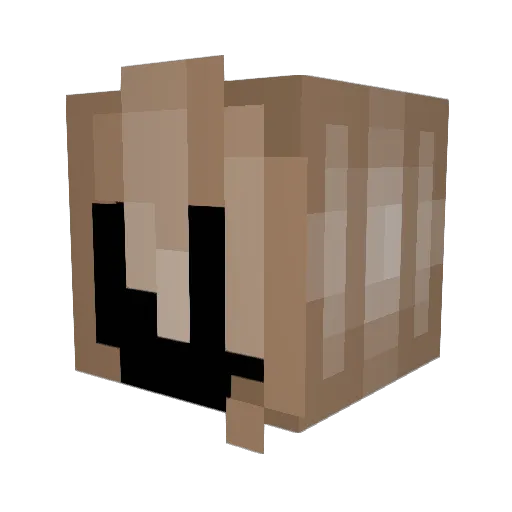 PEEDY12 Minecraft avatar head, 3D render