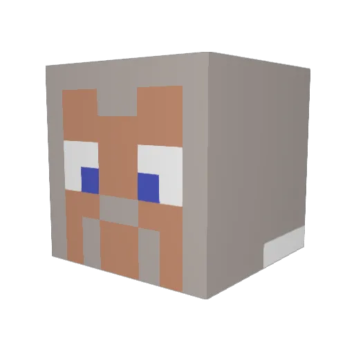 PEGE0 Minecraft avatar head, 3D render