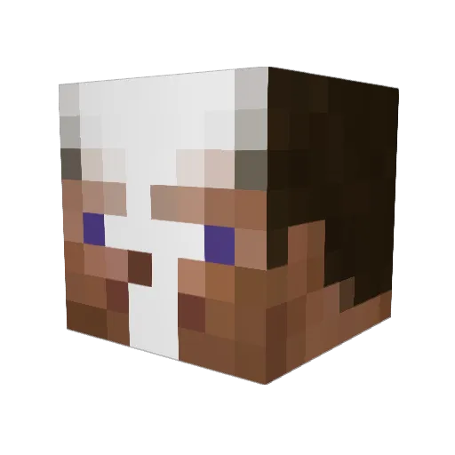 PELA9 Minecraft avatar head, 3D render