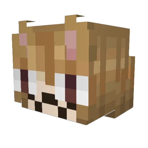 PEMK0 Minecraft avatar head, 3D render