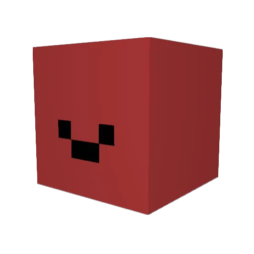 PENGUIN5445 Minecraft avatar head, 3D render
